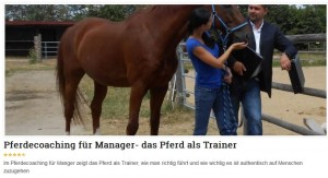 Pferdecoaching für Manager