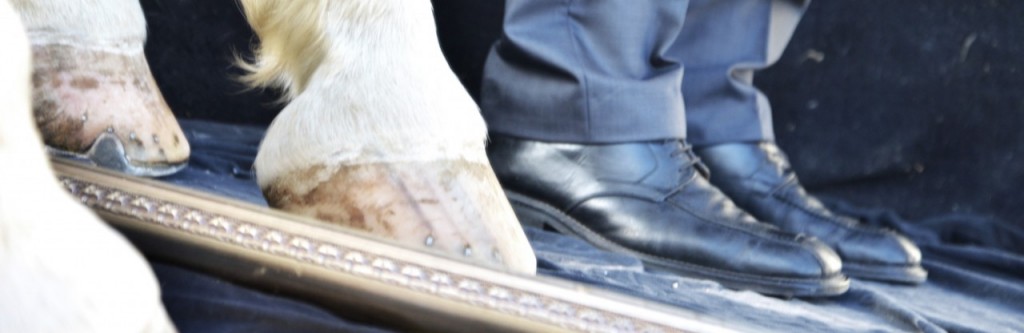 cropped-hufschuh.jpg
